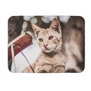 pet blanket with photo