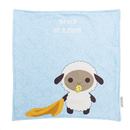 personalized baby name blankets