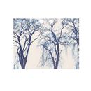 preisschild mit bäumen foto