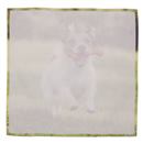 Printed pocket squares reverse