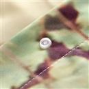 bottoni copripiumino personalizzato