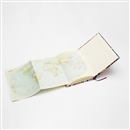 World map detail end pages