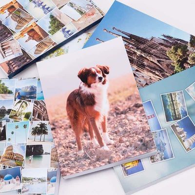 Carnet avec photo de chien