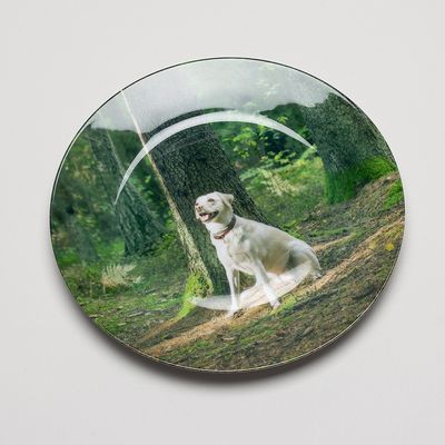 China plates