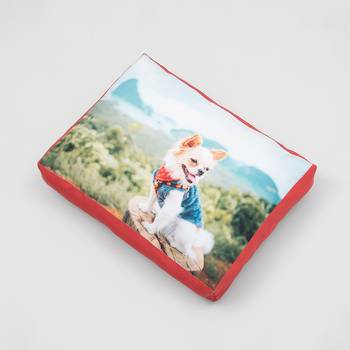 cama para perros personalizada