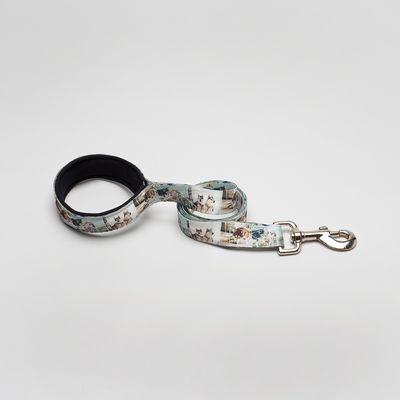 personalised dog leads