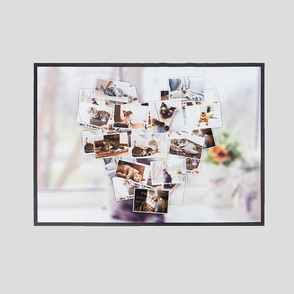 Tapis pour gamelle chat