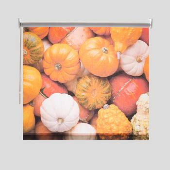 photo blinds