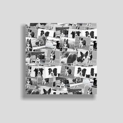 photo montages