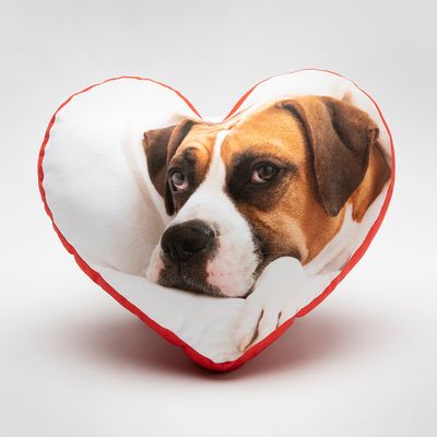 Love Heart Cushion