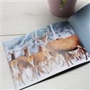 foto album personalizado imagenes diseño tapa blanda