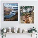 custom framed photo prints