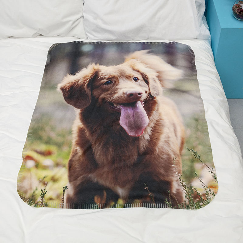 Dog photo clearance blanket