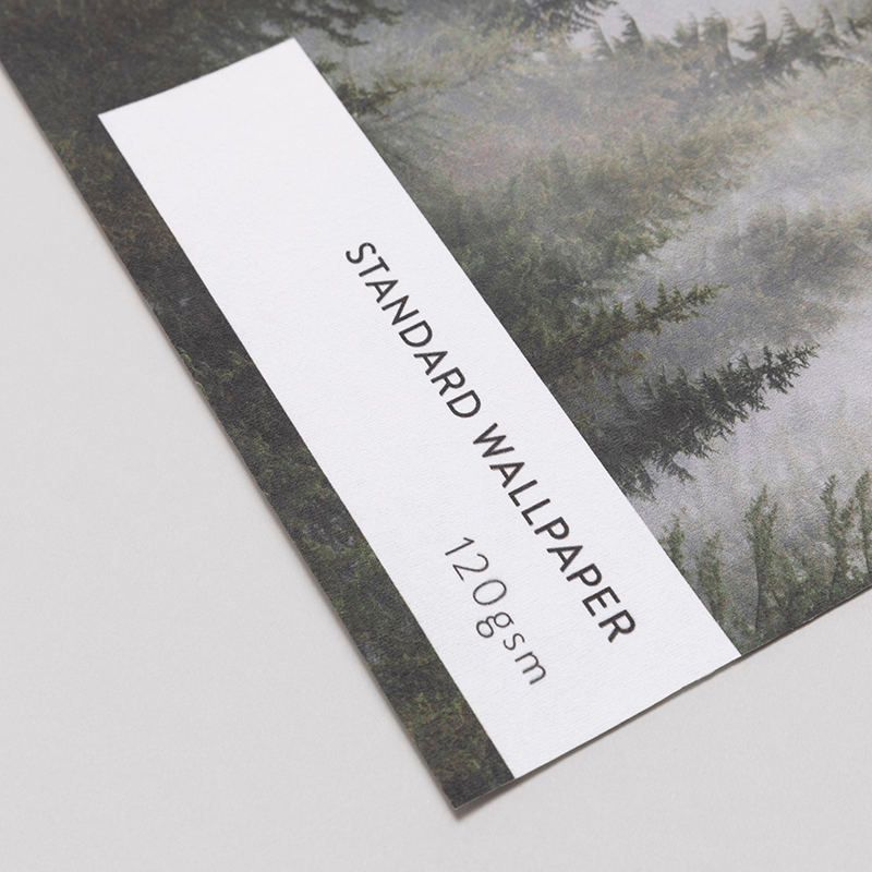 Print Paper Samples. Paper Samples For Printing To Order.