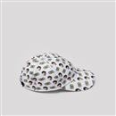 baseball cap with face on