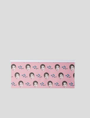 face roller blind