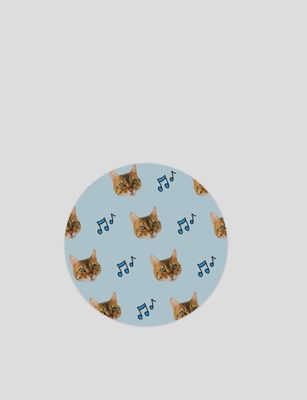 Cat Face Stickers