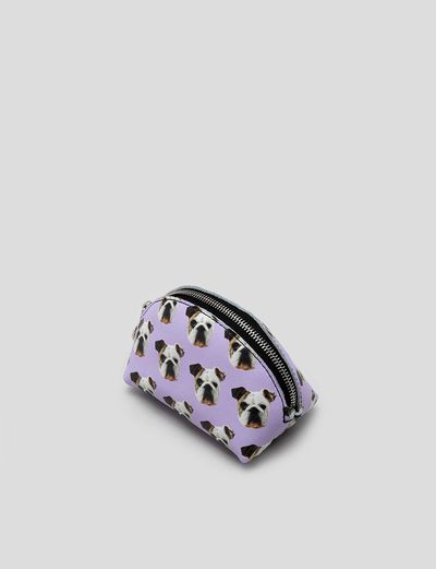 face shell coin purse