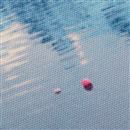 canvas surface texture