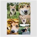 custom collage blanket