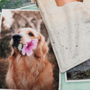 Couverture personnalisée recto verso photo chien