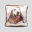 Personalized Silk Throw Pillow