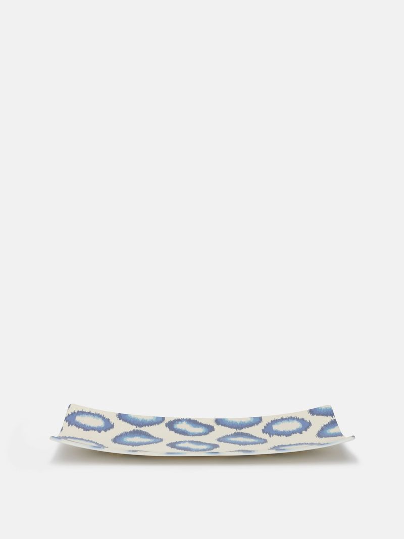 Seder Dish 