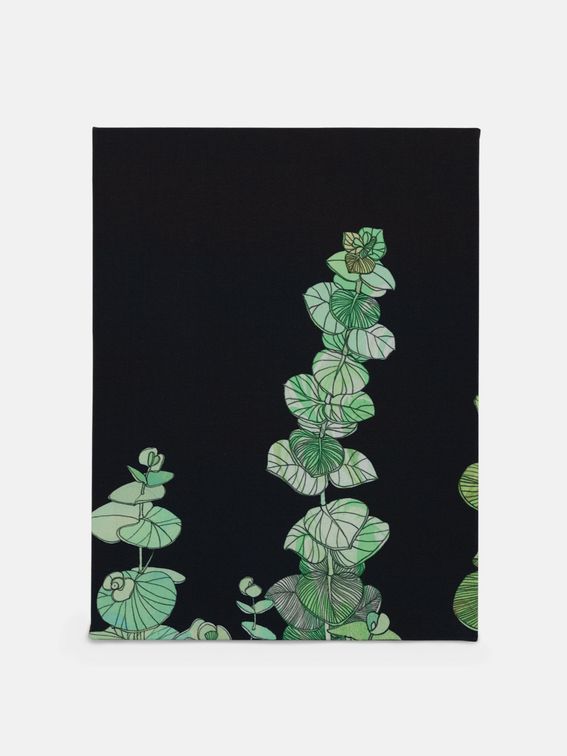 frame of canvas