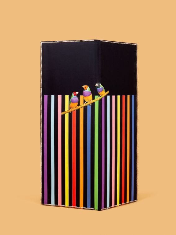 screen dividers