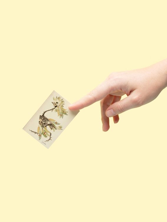 bespoke business cards pack of 20 designs all different
