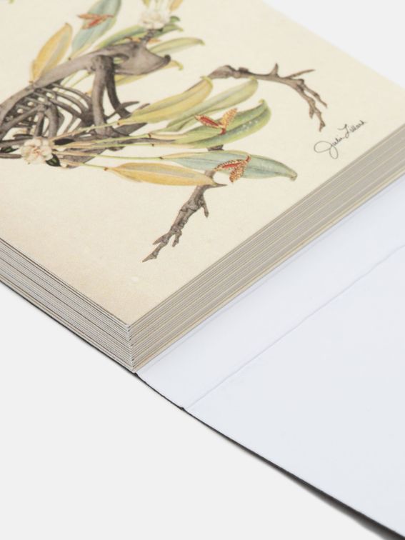 Business card pack with sleeve design