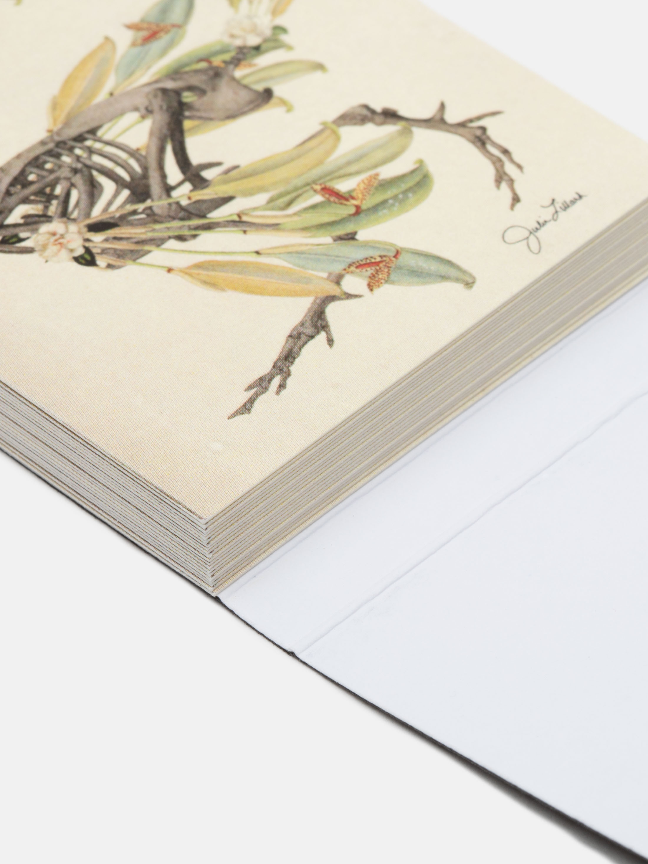 design and print business cards pack of 20