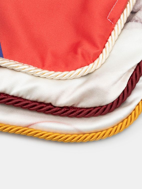 trim colour options for silk cushions