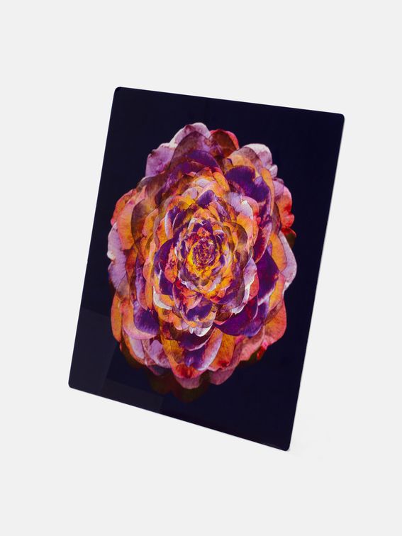 メタルプリント デザイン