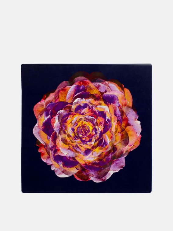 Alu Bilder selbst gestalten