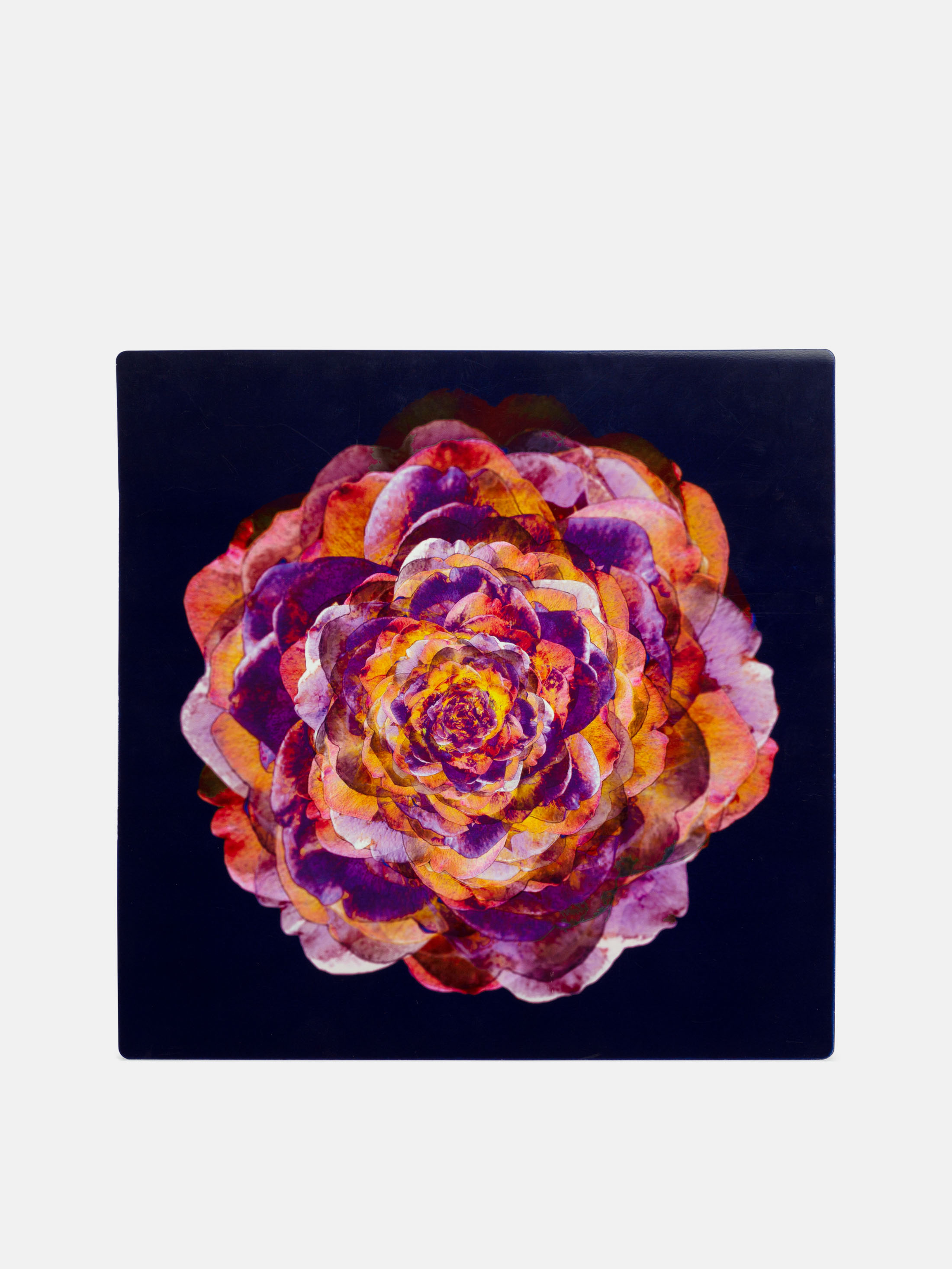 Your Designs Featured On Aluminium Prints