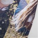 designa dina egna t-shirts för födelsedag