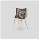 personalised cat cushion