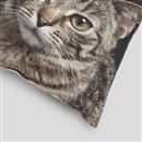 custom cat pillow corner