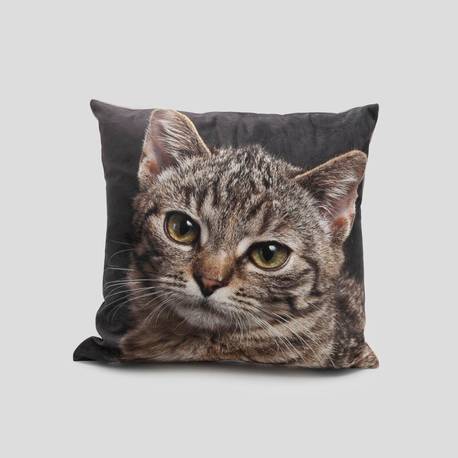 personalised cat cushion