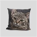 personalized cat pillow
