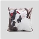 dog photo cushion