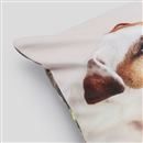 printed pillow covers