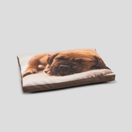 personalised pet bed