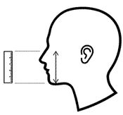 Measurement 2: Middle of nose to just under chin (max.)
