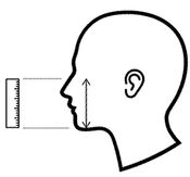 Measurement 2: Middle of nose to just under chin (max.)
