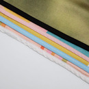 Personalized Pet Towel