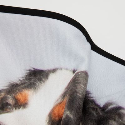 Toalla personalizada para perros