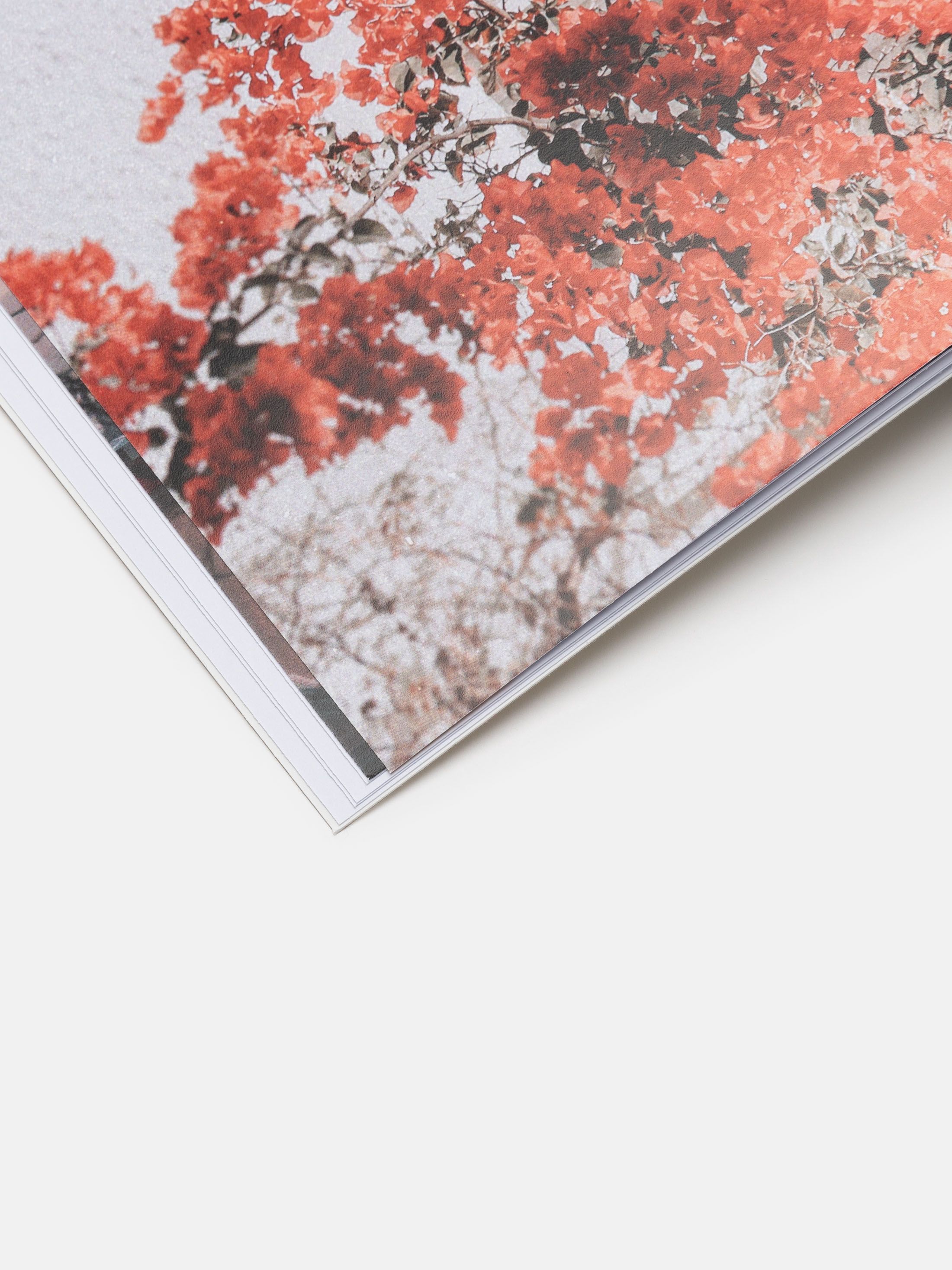 custom photo book printing for professionals