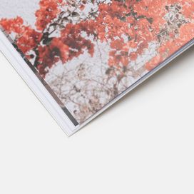 custom photo book printing for professionals